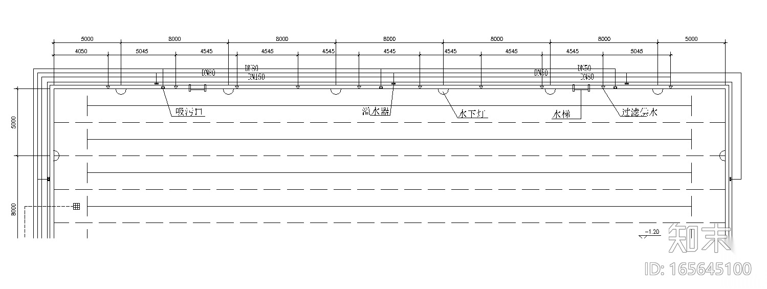 标准泳池CAD平面图施工图下载【ID:165645100】