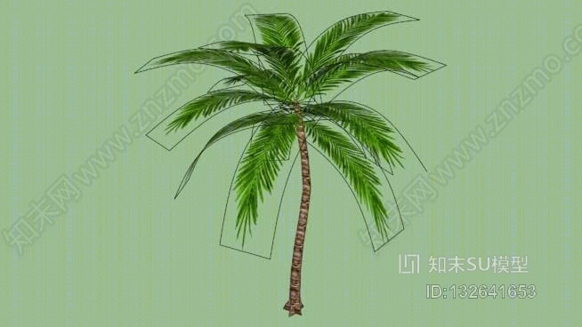 椰子树SU模型下载【ID:132641653】