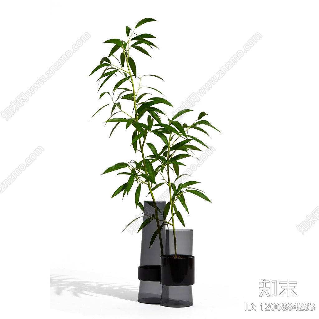 盆栽绿植3D模型下载【ID:1206884233】