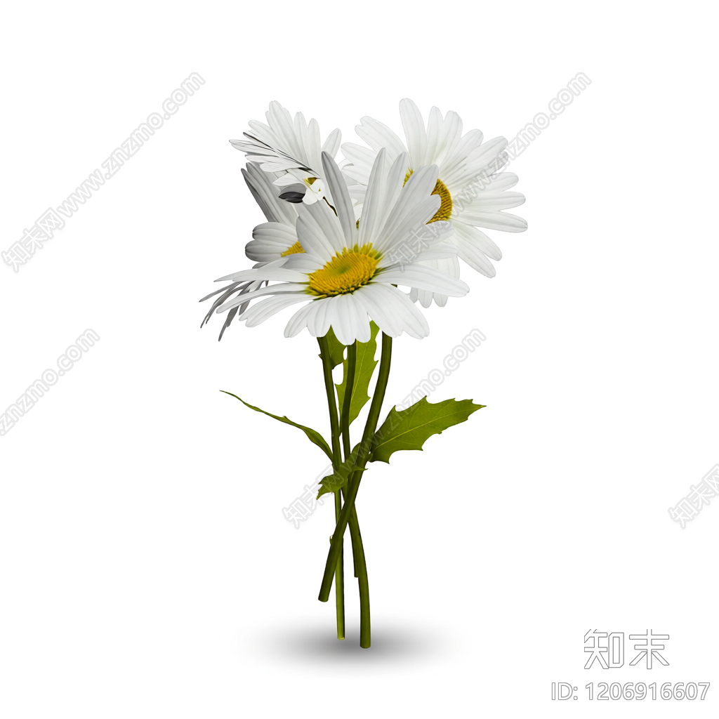 雏菊花束装饰3D模型下载【ID:1206916607】