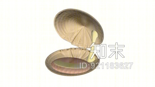 贝壳鼠标打开，贝壳，蛤蜊，双壳类，贝类，SPEC222SU模型下载【ID:921183627】