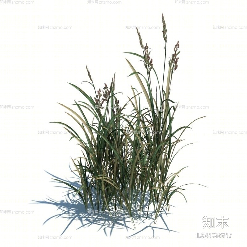 绿色草3D模型下载【ID:41035917】