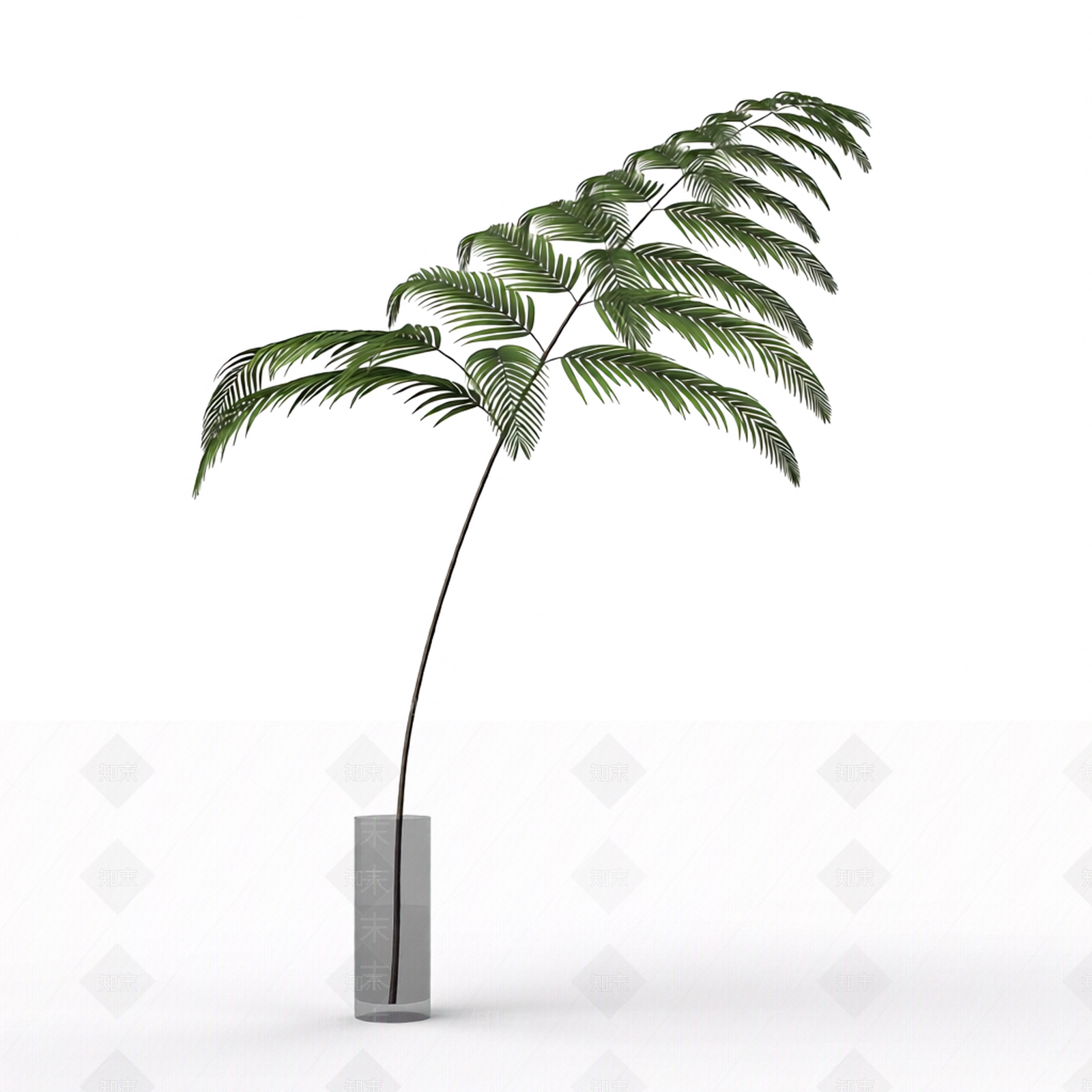 带盆绿色植物模型3D模型下载【ID:1206186485】