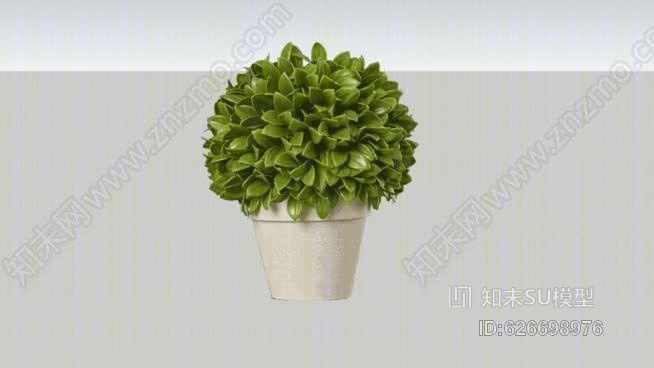 盆栽植物SU模型下载【ID:626698976】