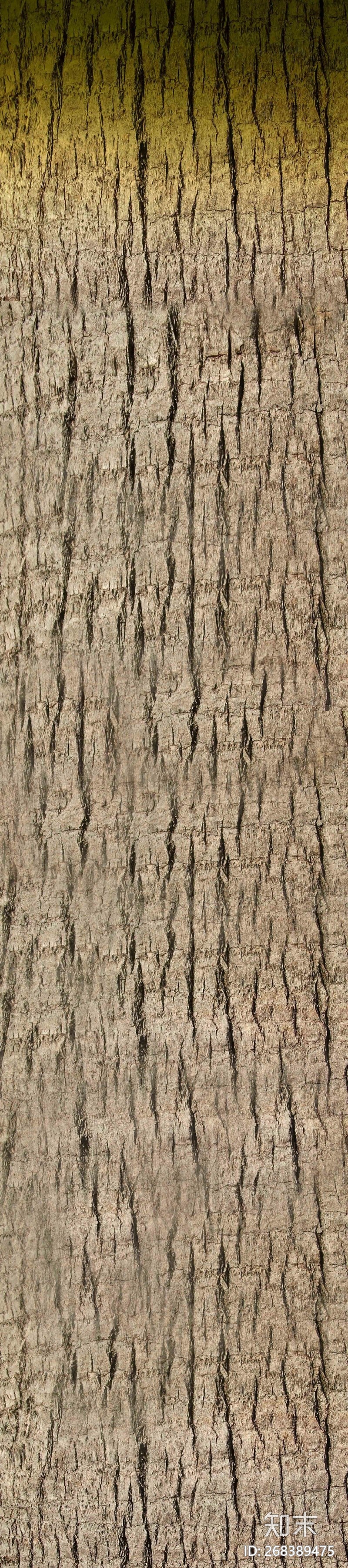 树皮贴图下载【ID:268389475】