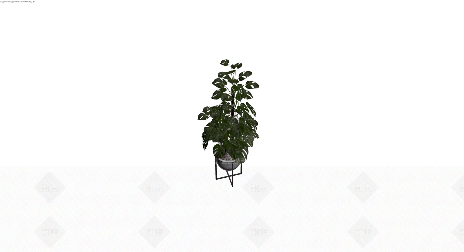 盆栽龟背竹带架3D模型下载【ID:1230172715】