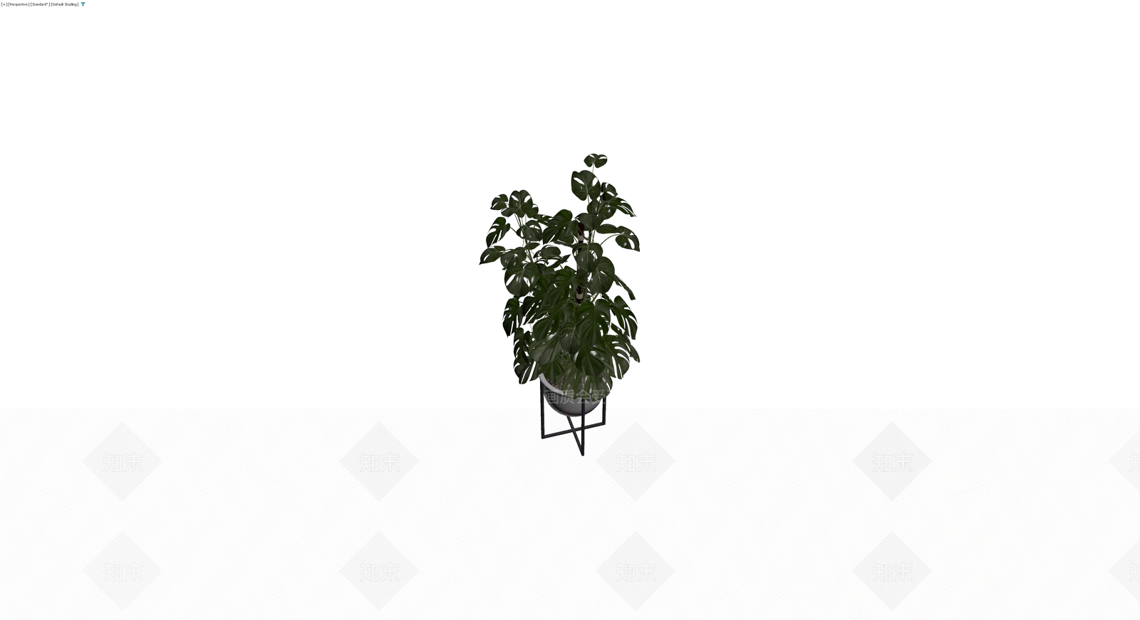 盆栽龟背竹带架3D模型下载【ID:1230172715】