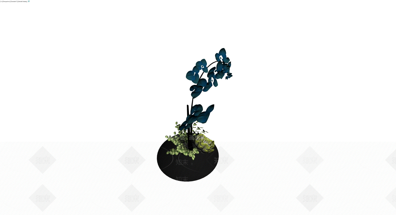 黑色底座蓝色兰花盆栽3D模型下载【ID:1229888253】