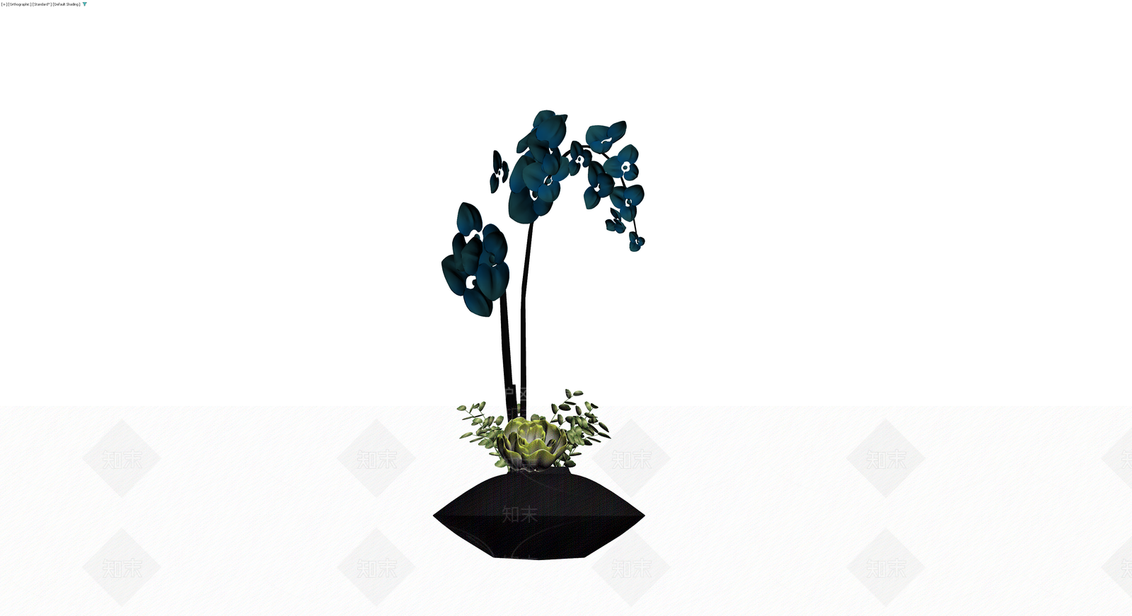 黑色底座蓝色兰花盆栽3D模型下载【ID:1229888253】