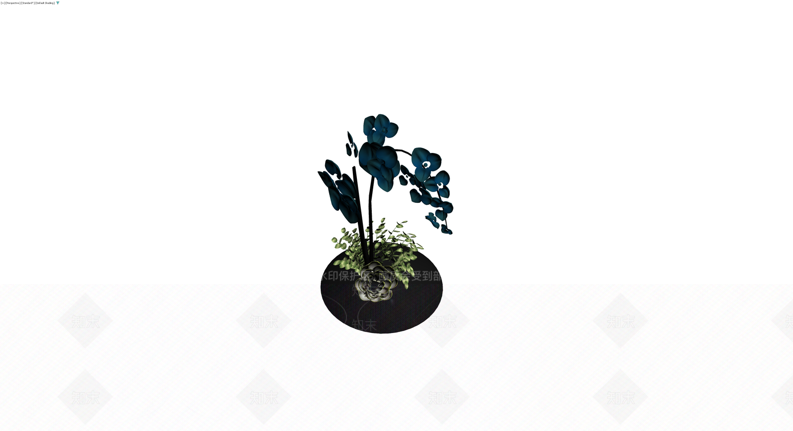 黑色底座蓝色兰花盆栽3D模型下载【ID:1229888253】