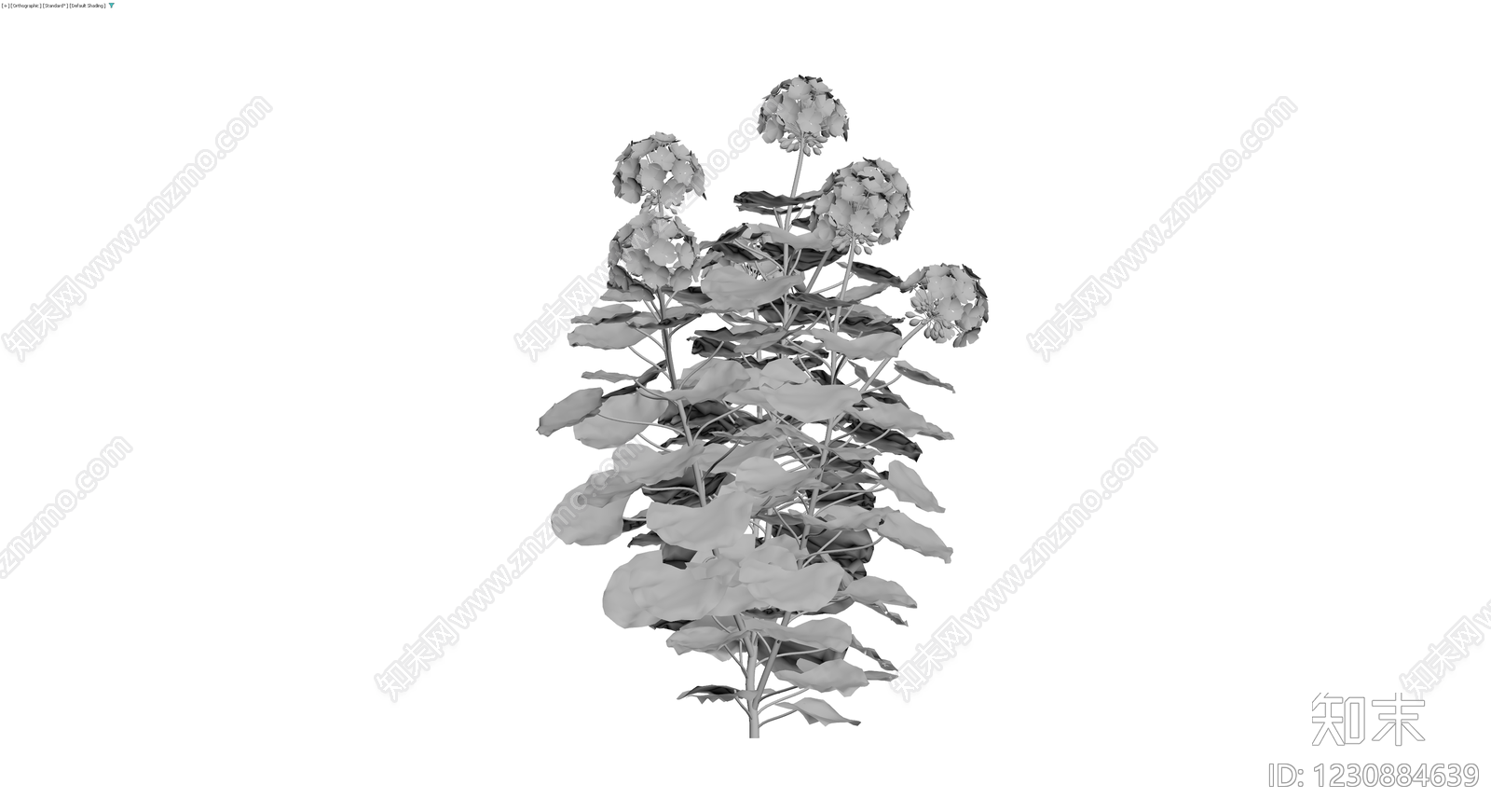 灰模绣球花灌木植物3D模型下载【ID:1230884639】