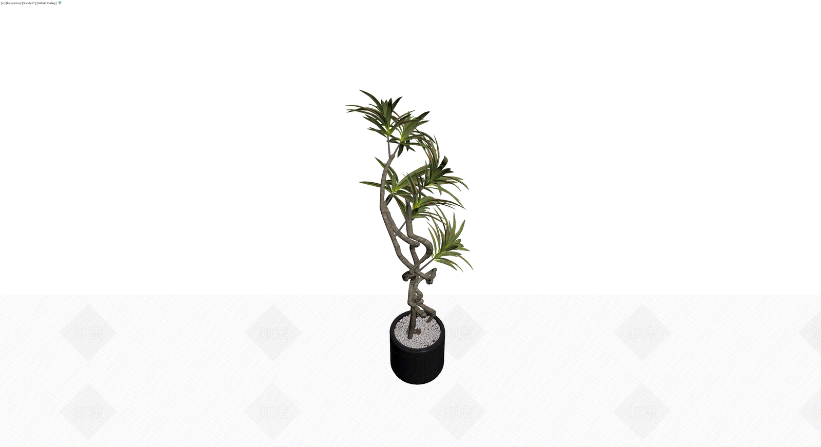黑色圆盆造型盆栽3D模型下载【ID:1230620280】