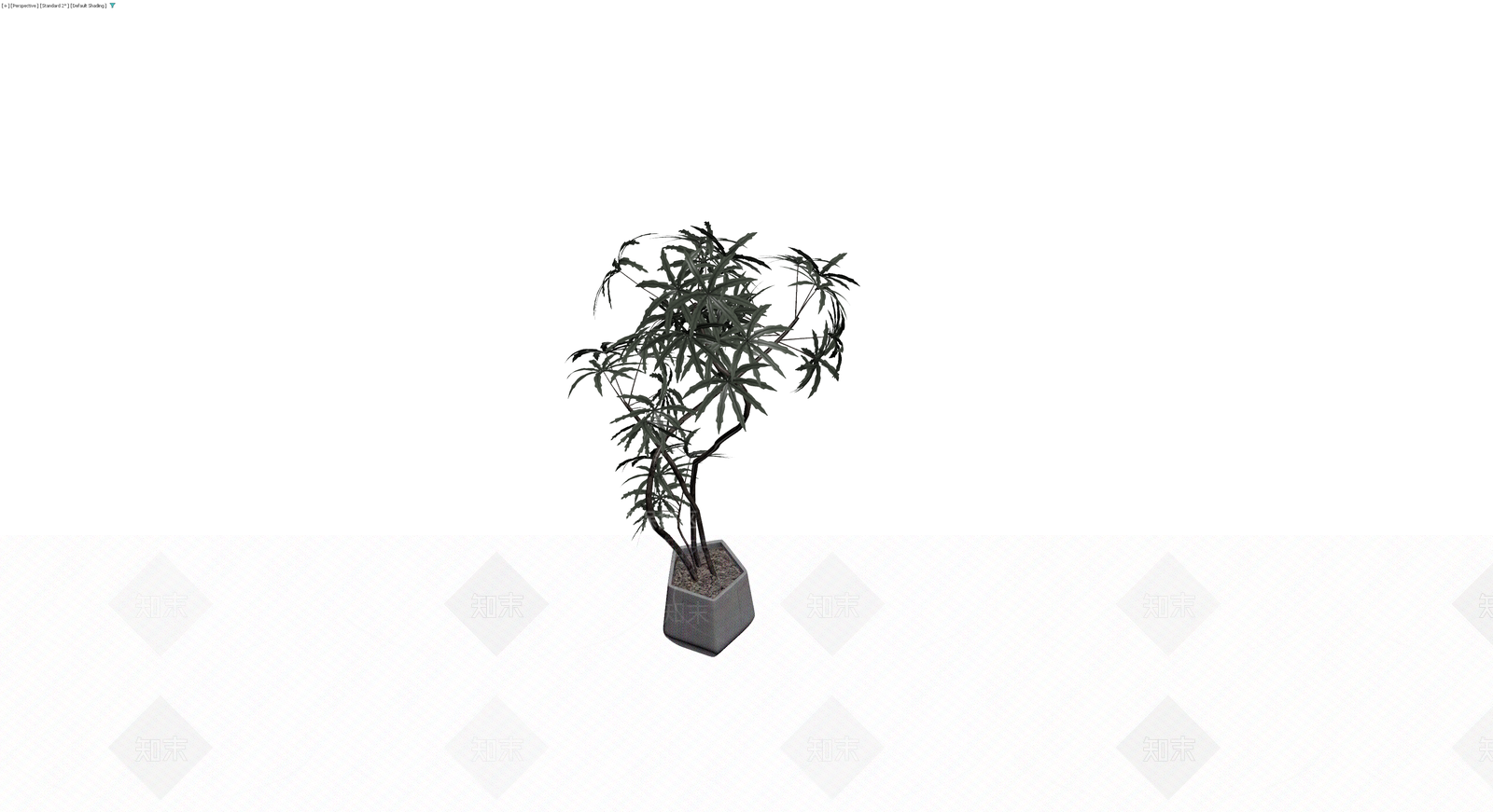 盆栽植物带盆3D模型下载【ID:1229913152】