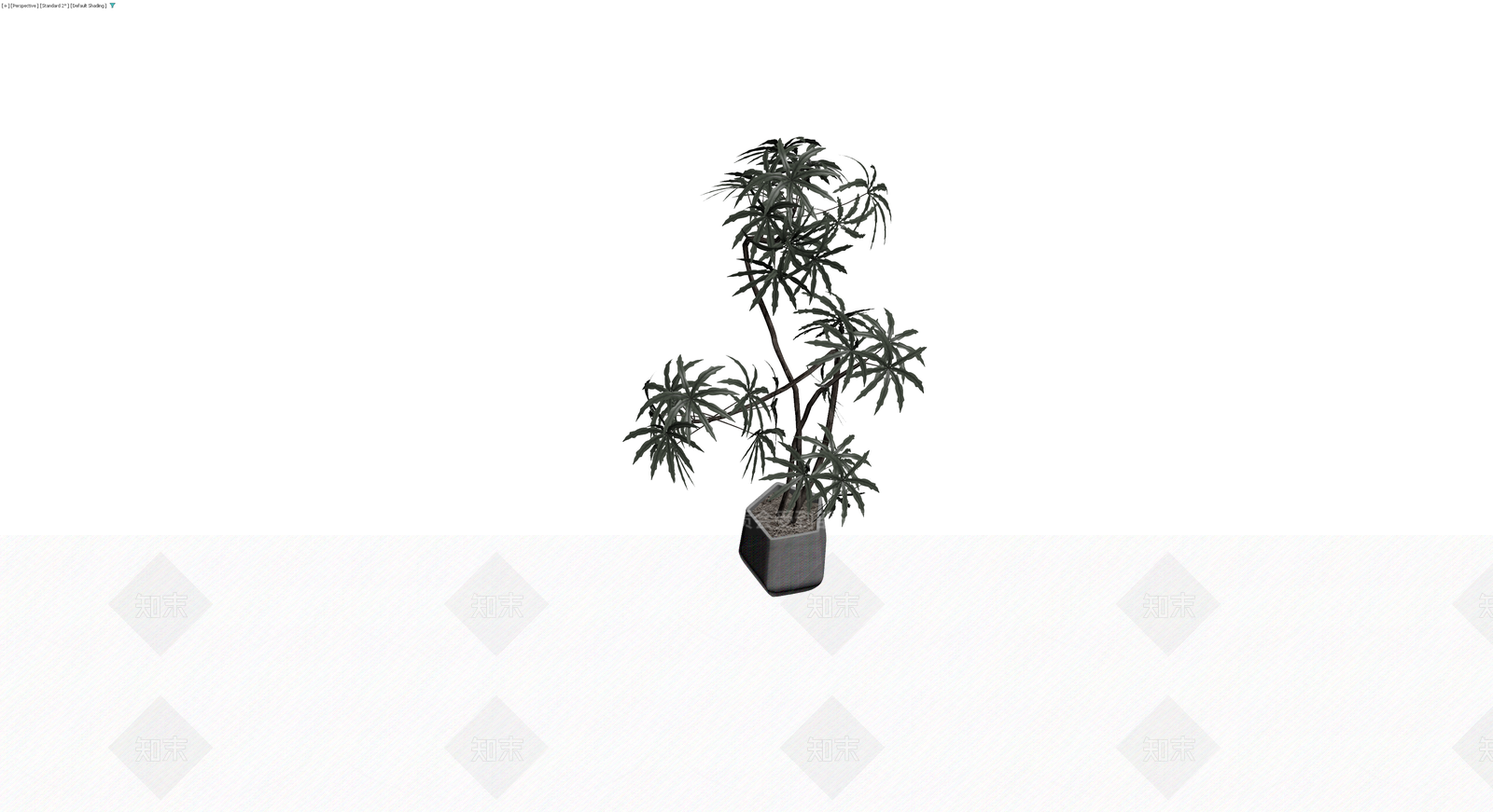 盆栽植物带盆3D模型下载【ID:1229913152】