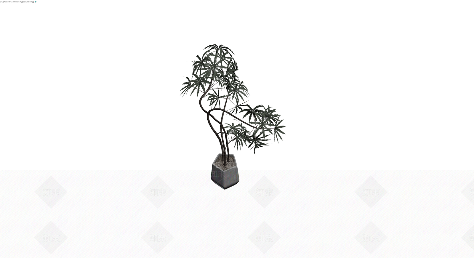 盆栽植物带盆3D模型下载【ID:1229913152】