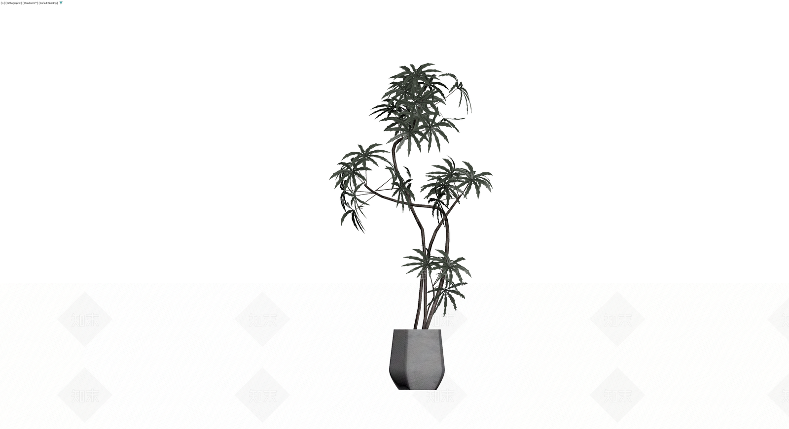 盆栽植物带盆3D模型下载【ID:1229913152】