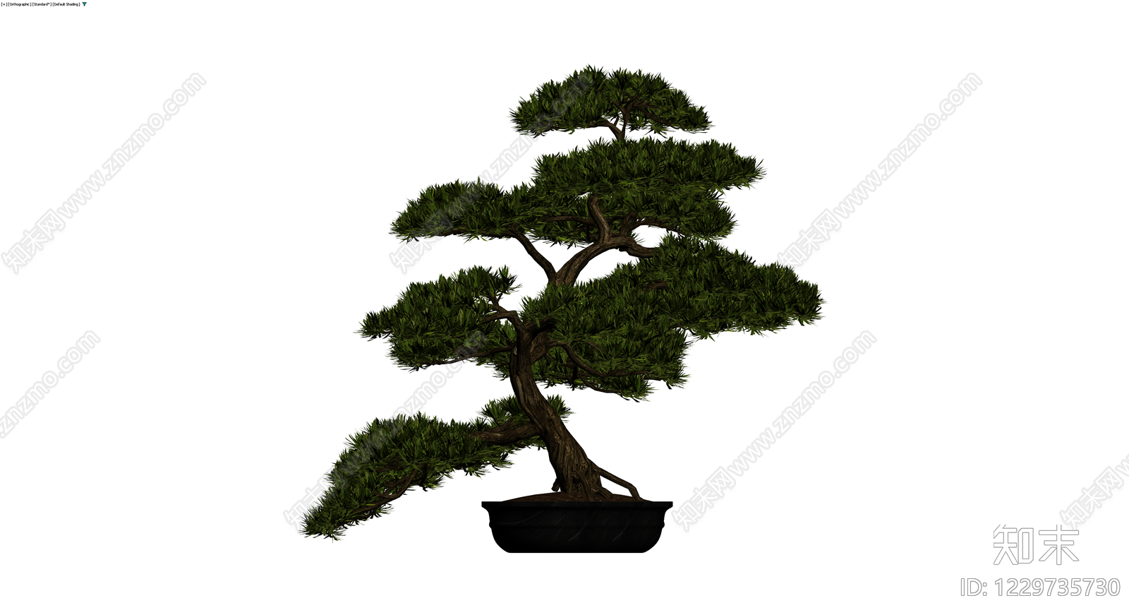 带盆松树盆景模型3D模型下载【ID:1229735730】