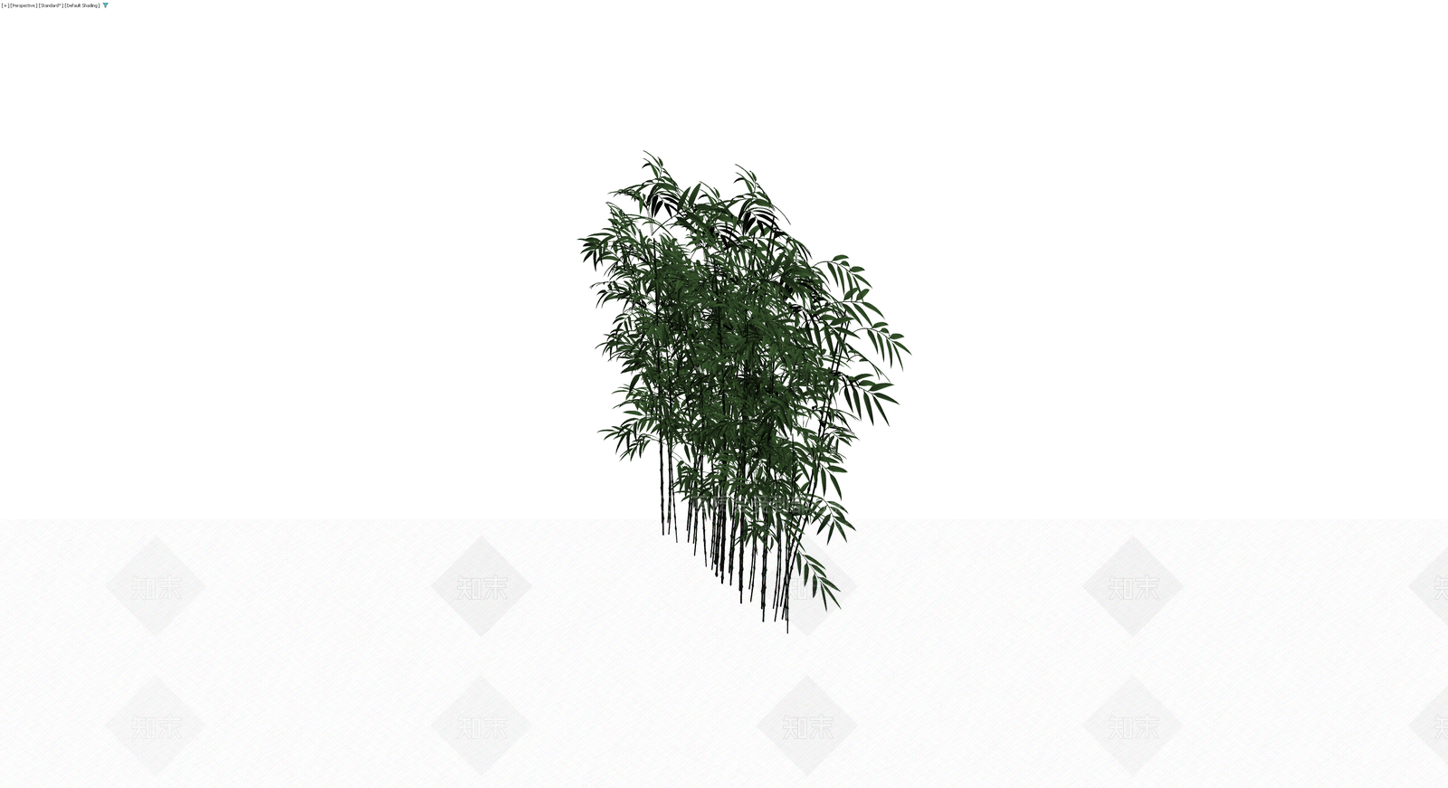 丛生竹子植物模型3D模型下载【ID:1229623701】
