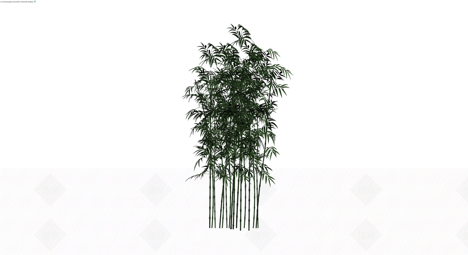 丛生竹子植物模型3D模型下载【ID:1229623701】