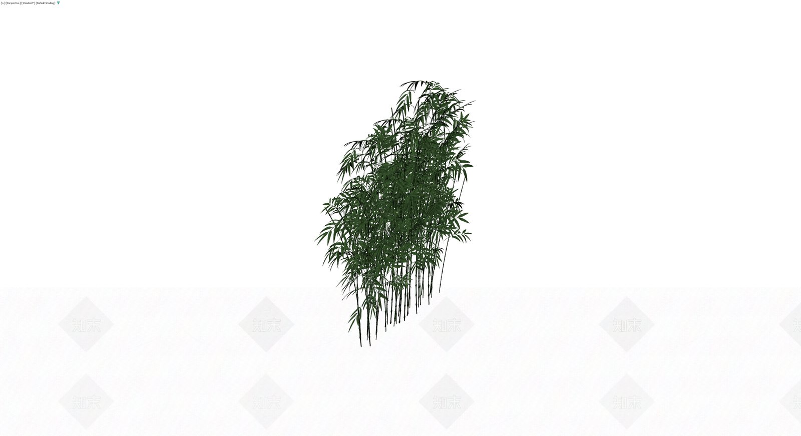 丛生竹子植物模型3D模型下载【ID:1229623701】