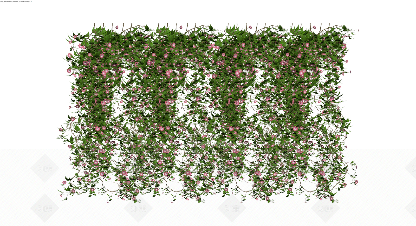 粉色花卉垂挂藤蔓墙3D模型下载【ID:1229848560】