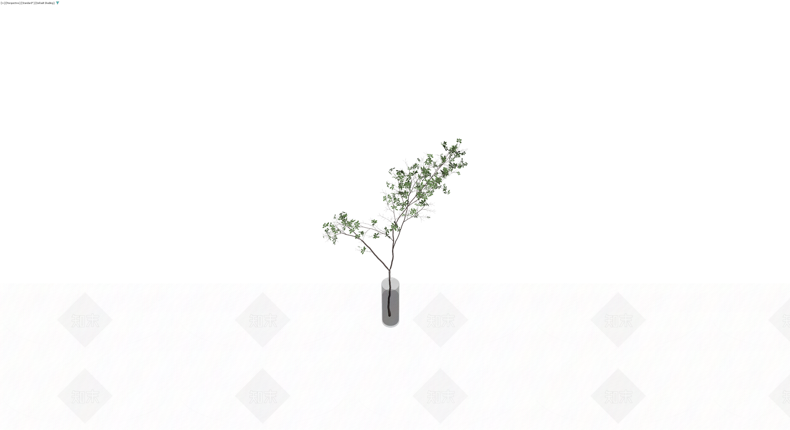 带盆绿植盆栽3D模型下载【ID:1229678644】