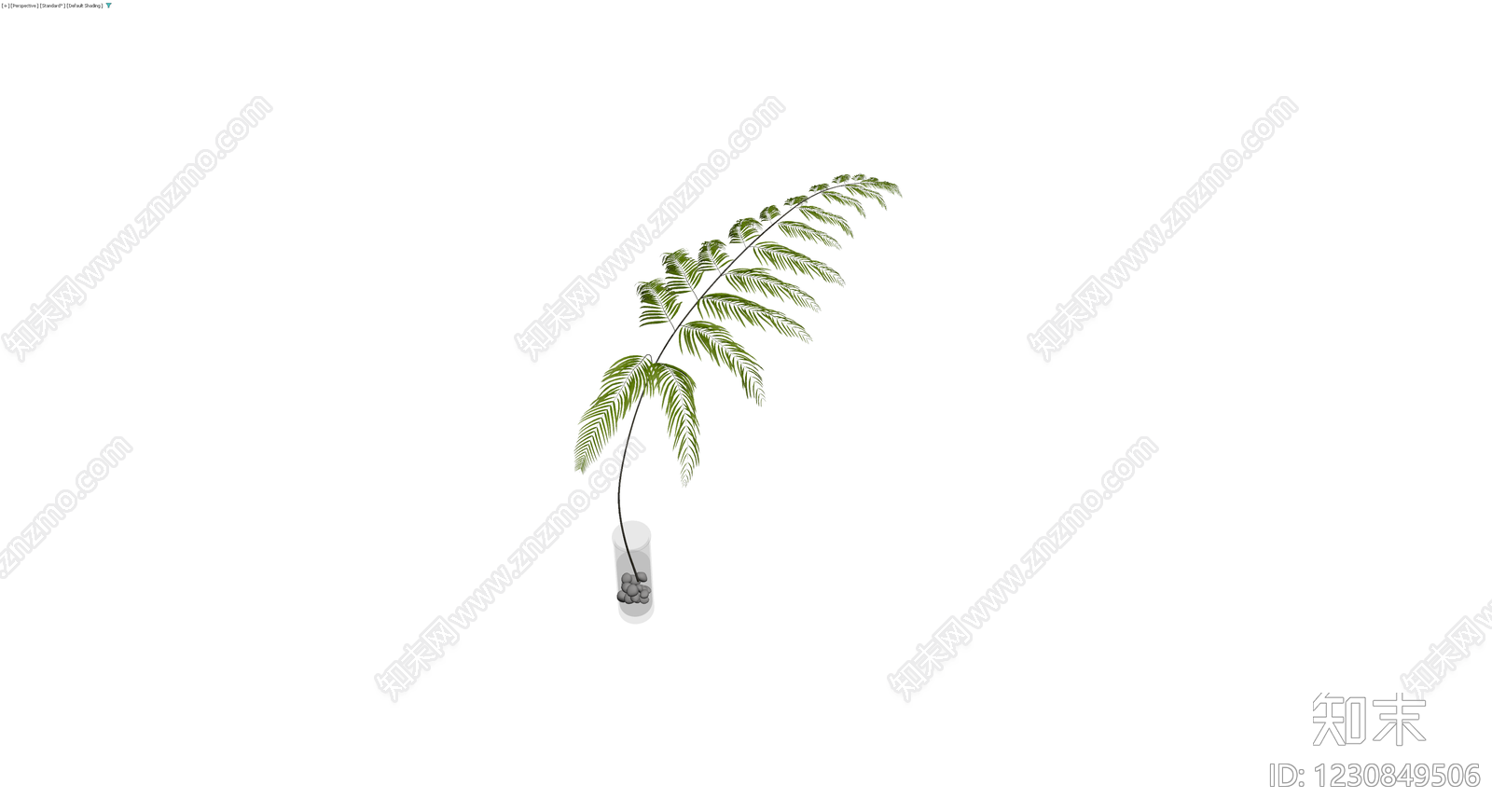 盆栽绿植带盆3D模型下载【ID:1230849506】