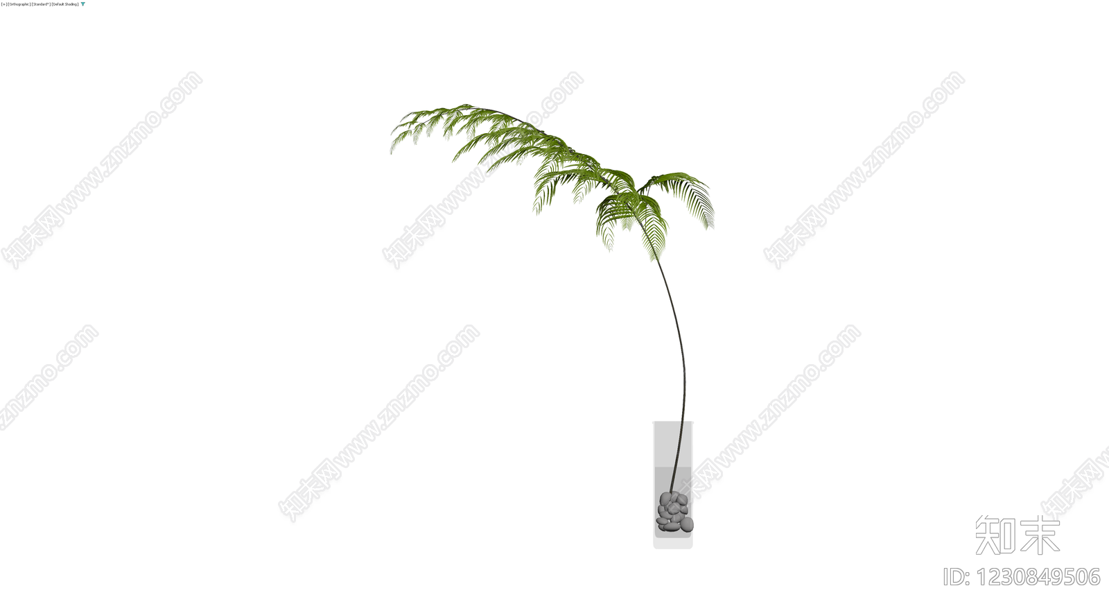 盆栽绿植带盆3D模型下载【ID:1230849506】