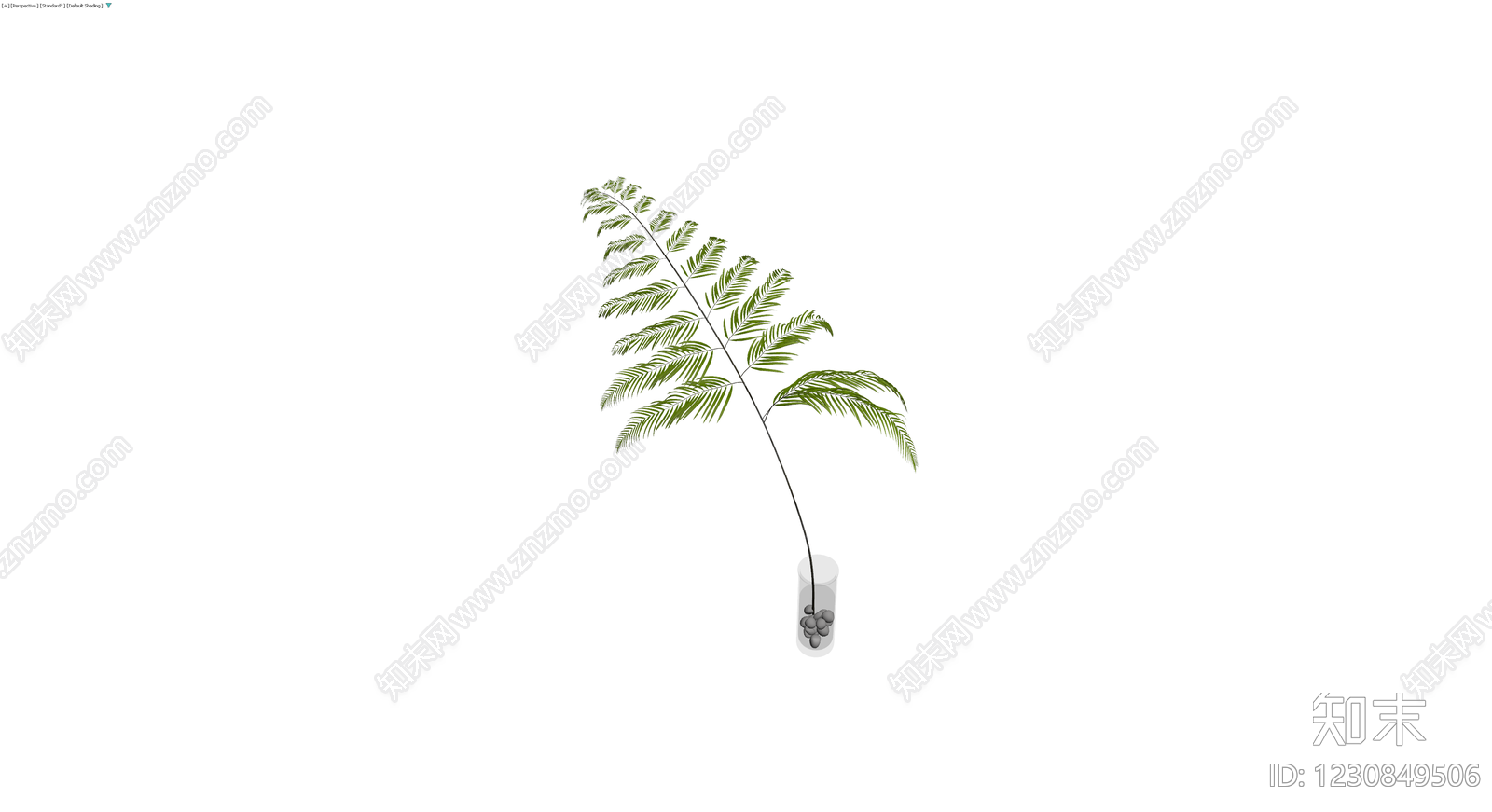 盆栽绿植带盆3D模型下载【ID:1230849506】