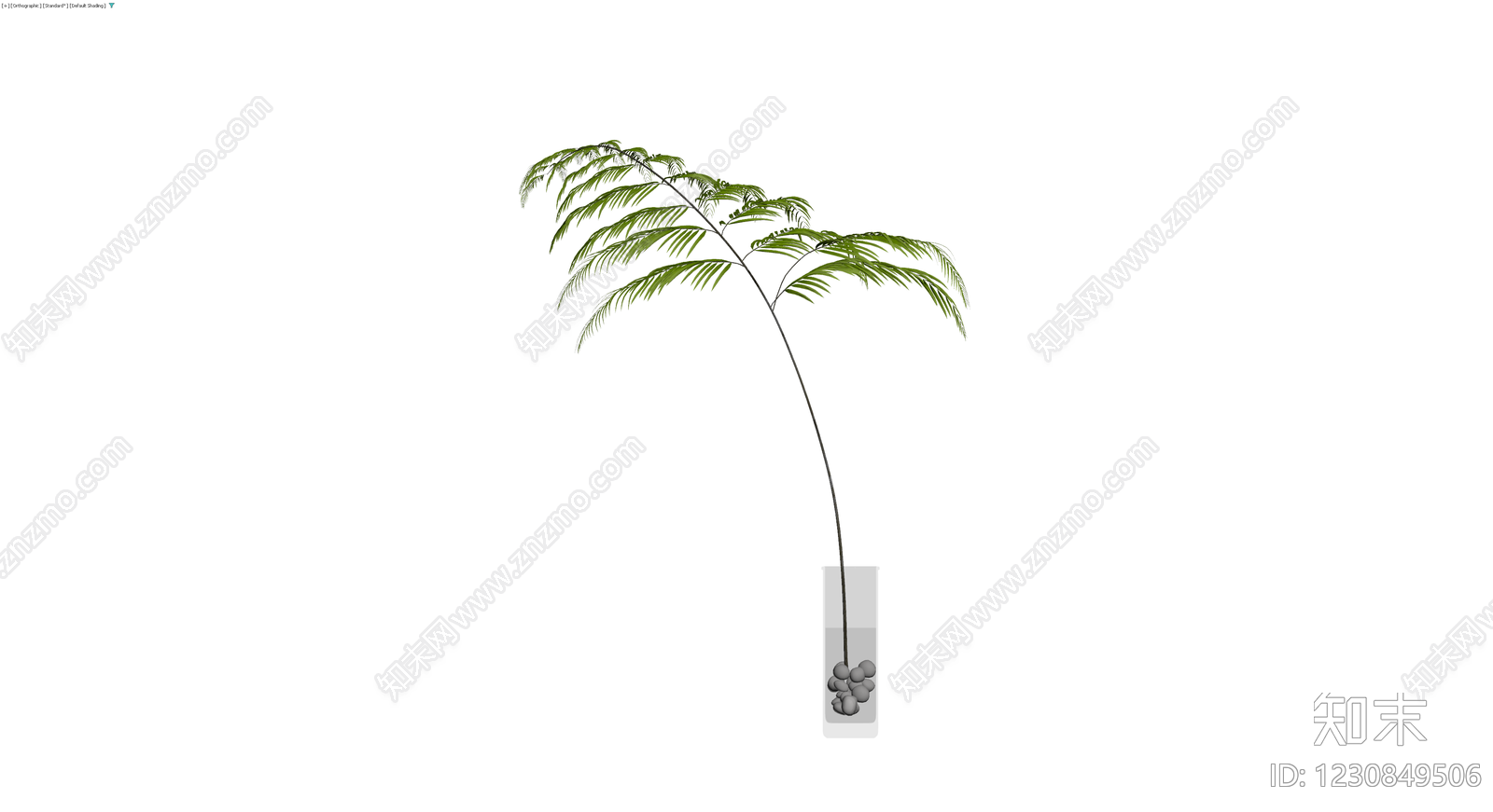 盆栽绿植带盆3D模型下载【ID:1230849506】