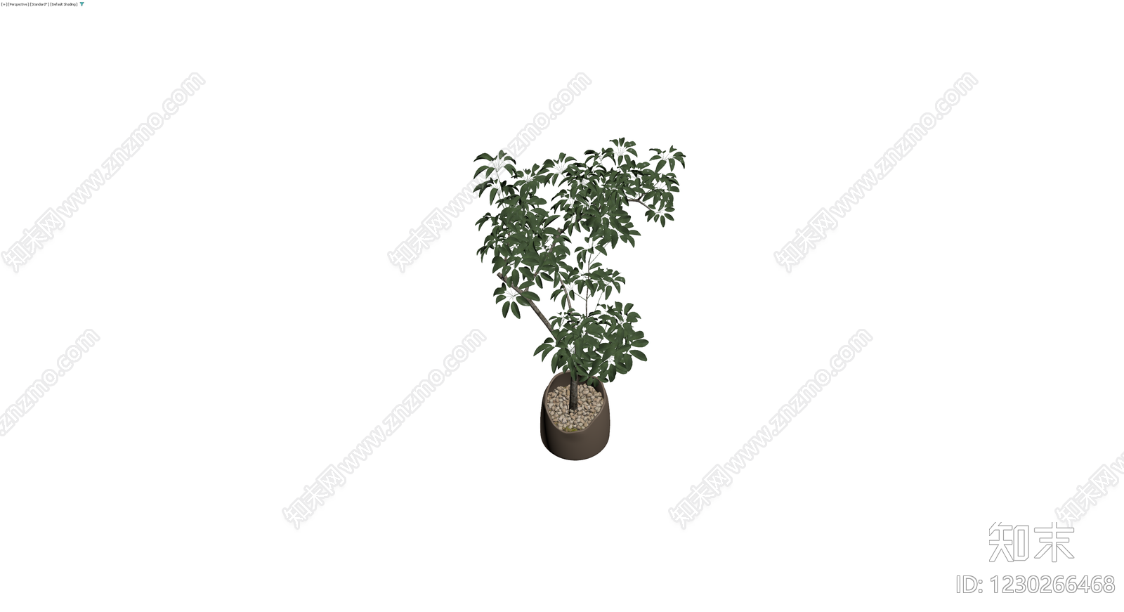 盆栽绿植组合3D模型下载【ID:1230266468】