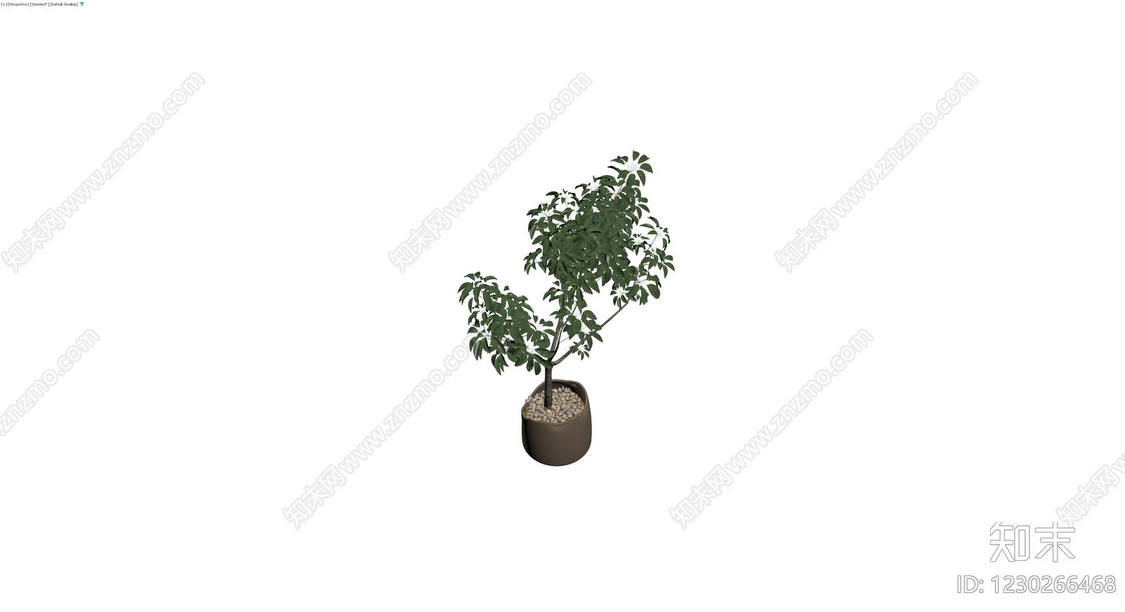 盆栽绿植组合3D模型下载【ID:1230266468】