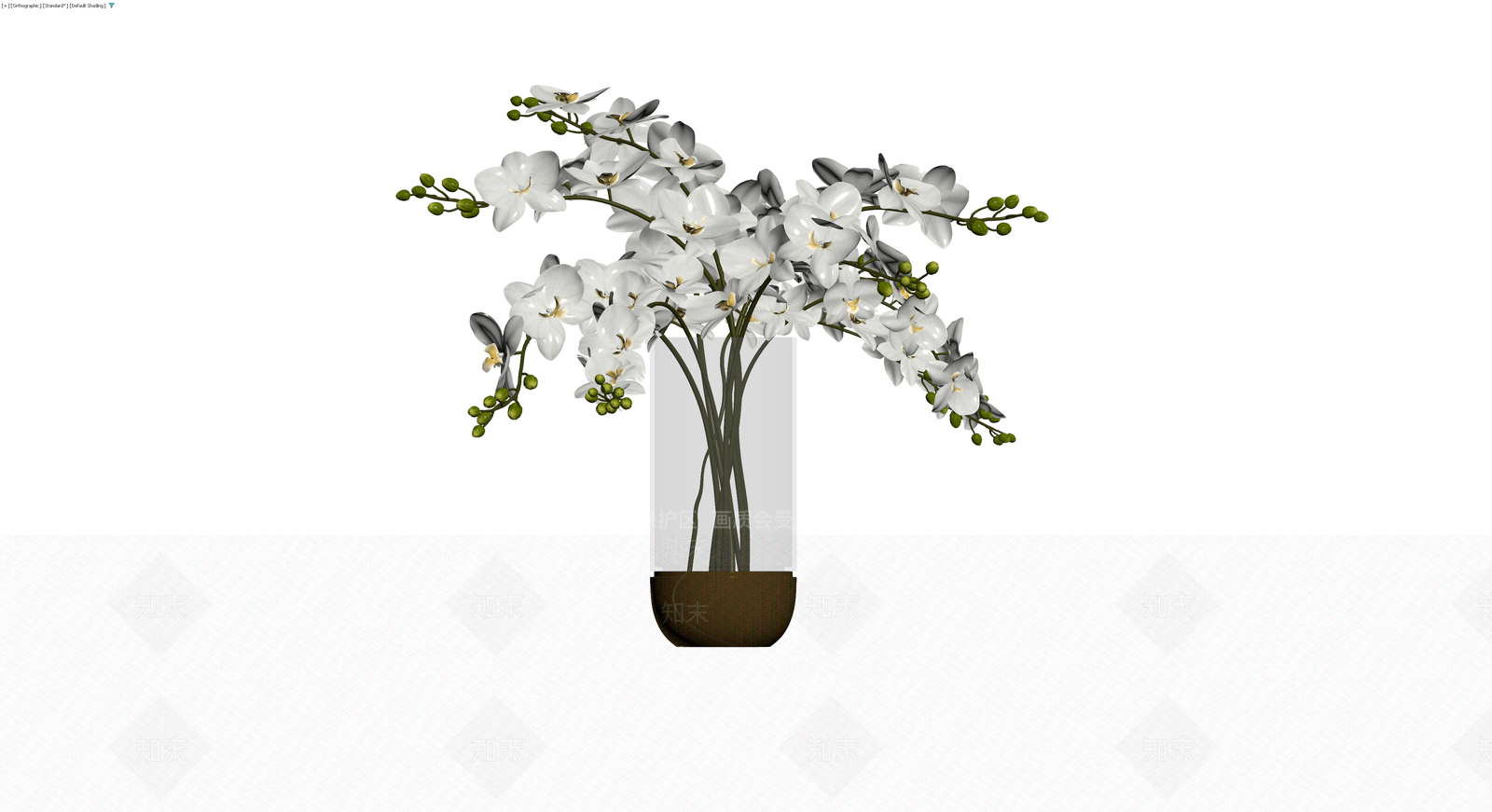 白色蝴蝶兰盆栽组合3D模型下载【ID:1230766819】
