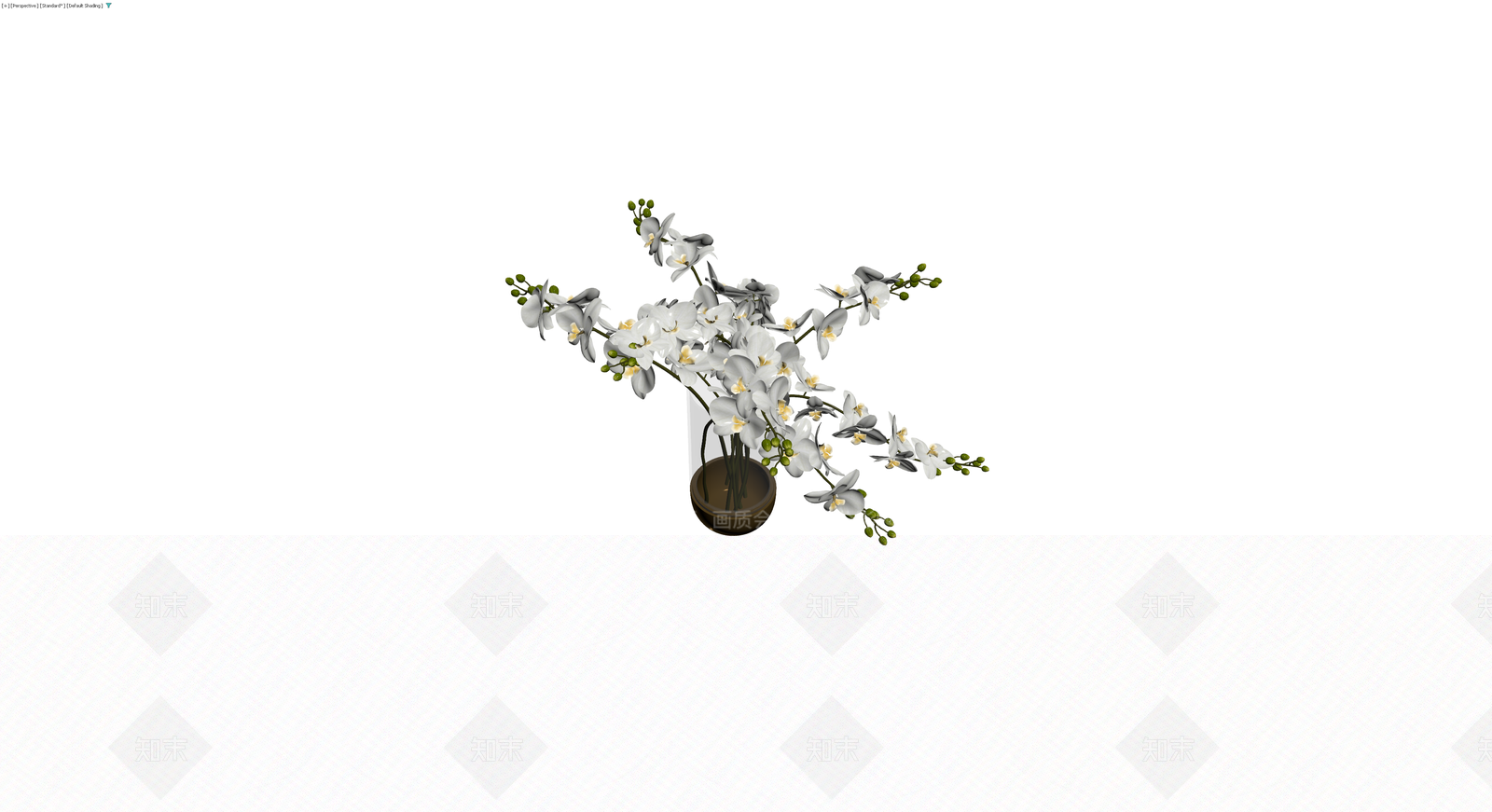 白色蝴蝶兰盆栽组合3D模型下载【ID:1230766819】