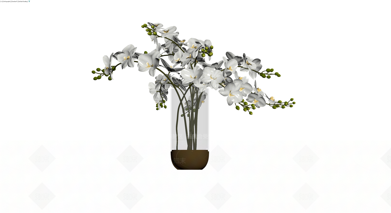 白色蝴蝶兰盆栽组合3D模型下载【ID:1230766819】
