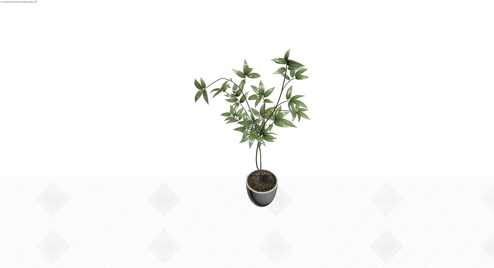 盆栽绿植模型3D模型下载【ID:1230681016】