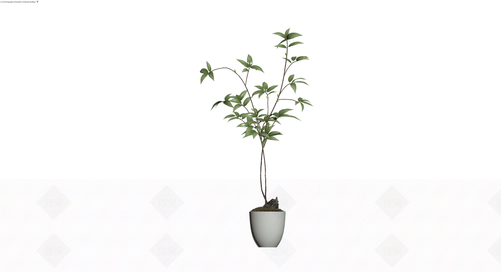 盆栽绿植模型3D模型下载【ID:1230681016】