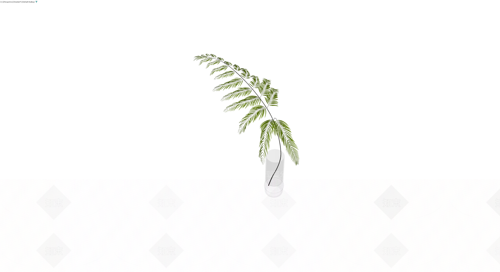 盆栽蕨类植物3D模型下载【ID:1229601891】
