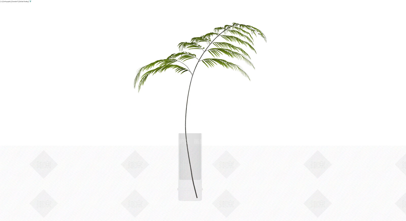 盆栽蕨类植物3D模型下载【ID:1229601891】