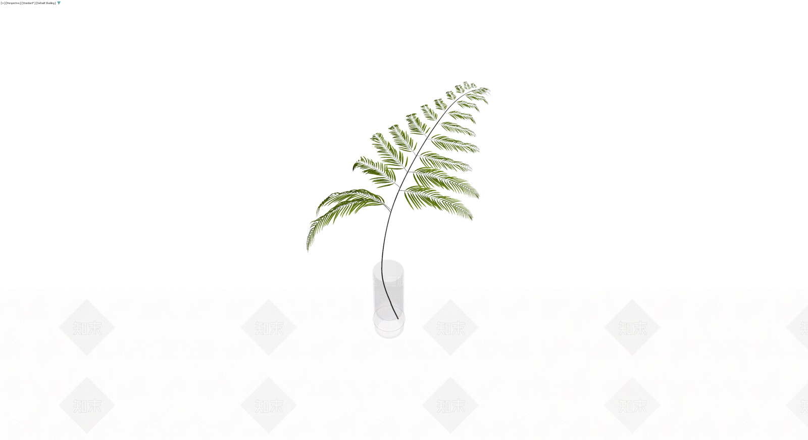 盆栽蕨类植物3D模型下载【ID:1229601891】