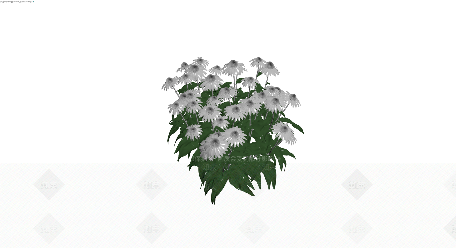 白色松果菊植物丛3D模型下载【ID:1230675490】