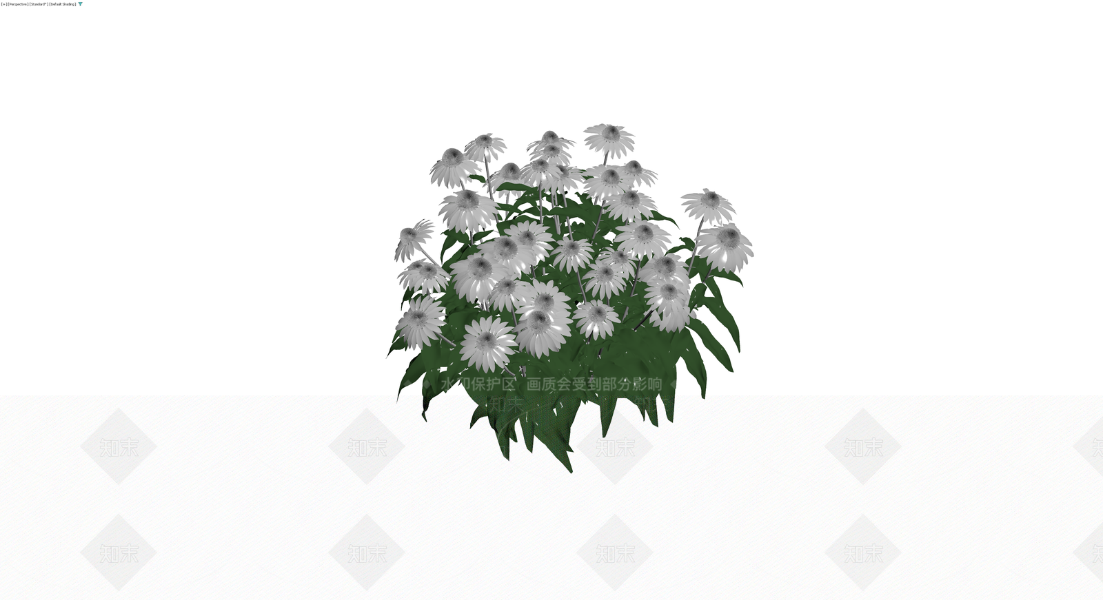 白色松果菊植物丛3D模型下载【ID:1230675490】