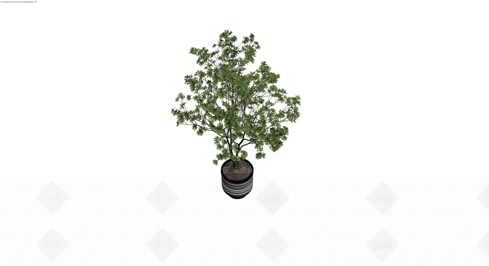 带盆绿植盆栽模型3D模型下载【ID:1230764315】
