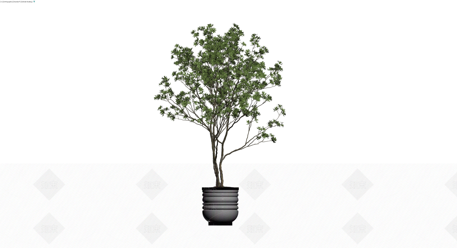 带盆绿植盆栽模型3D模型下载【ID:1230764315】