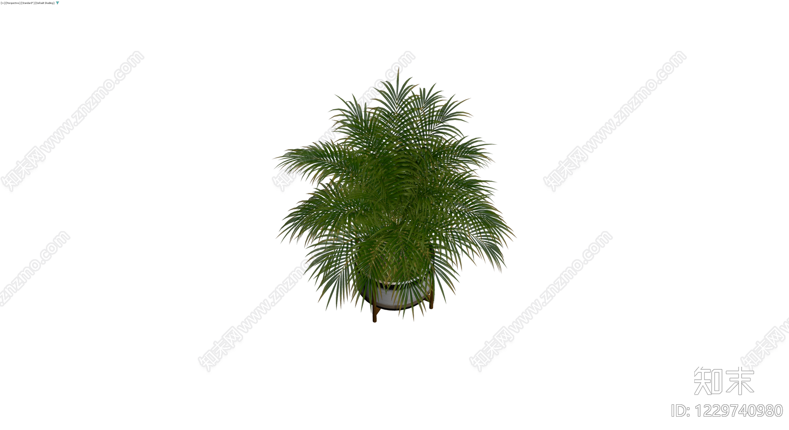 带盆棕榈植物盆栽3D模型下载【ID:1229740980】