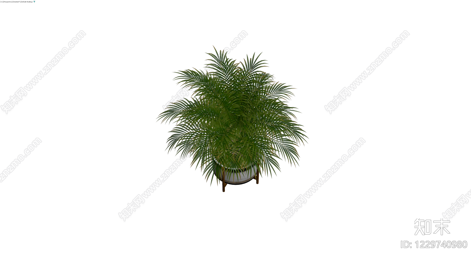 带盆棕榈植物盆栽3D模型下载【ID:1229740980】