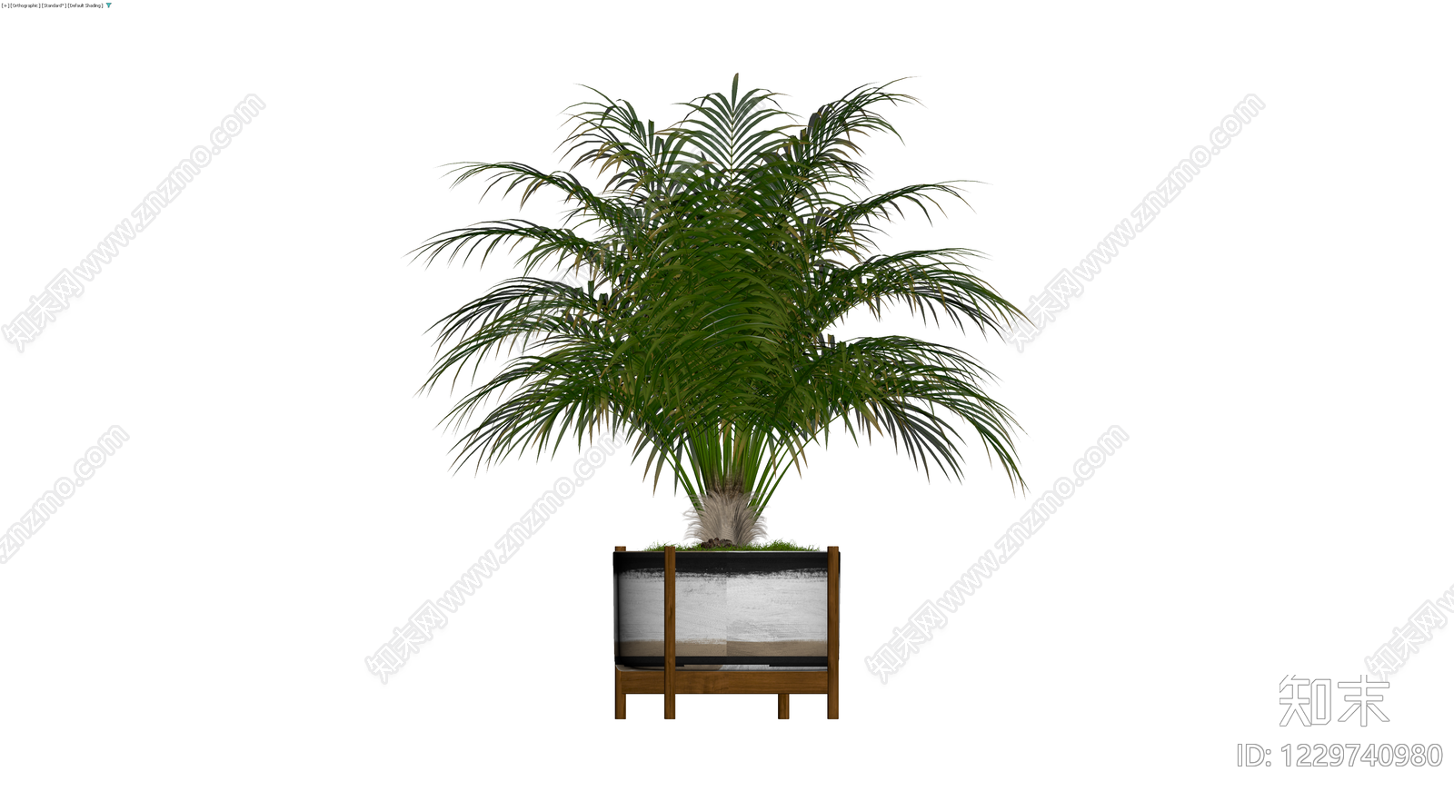 带盆棕榈植物盆栽3D模型下载【ID:1229740980】