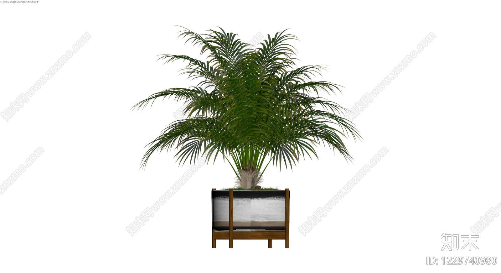 带盆棕榈植物盆栽3D模型下载【ID:1229740980】