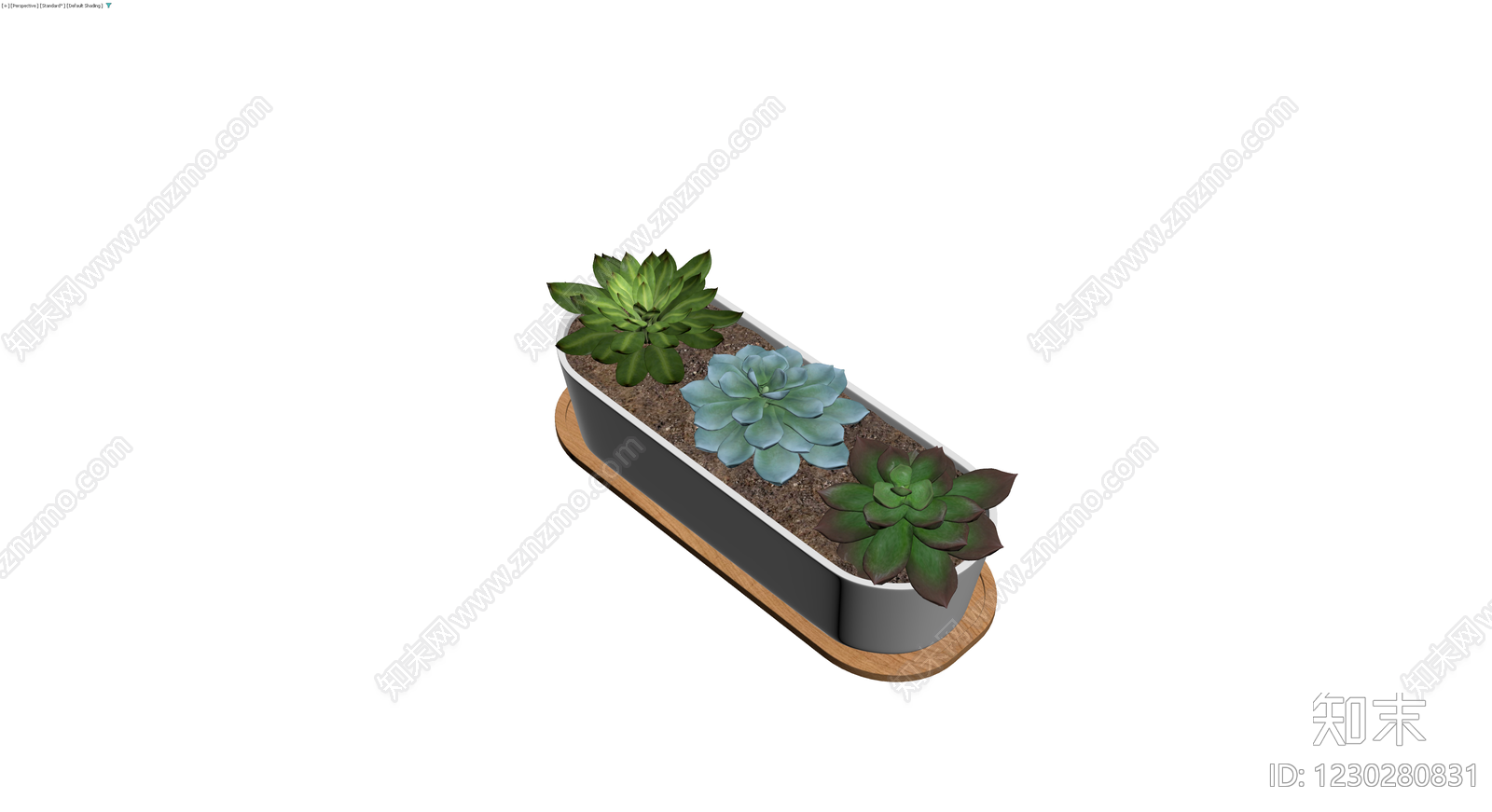 多肉盆栽组合3D模型下载【ID:1230280831】