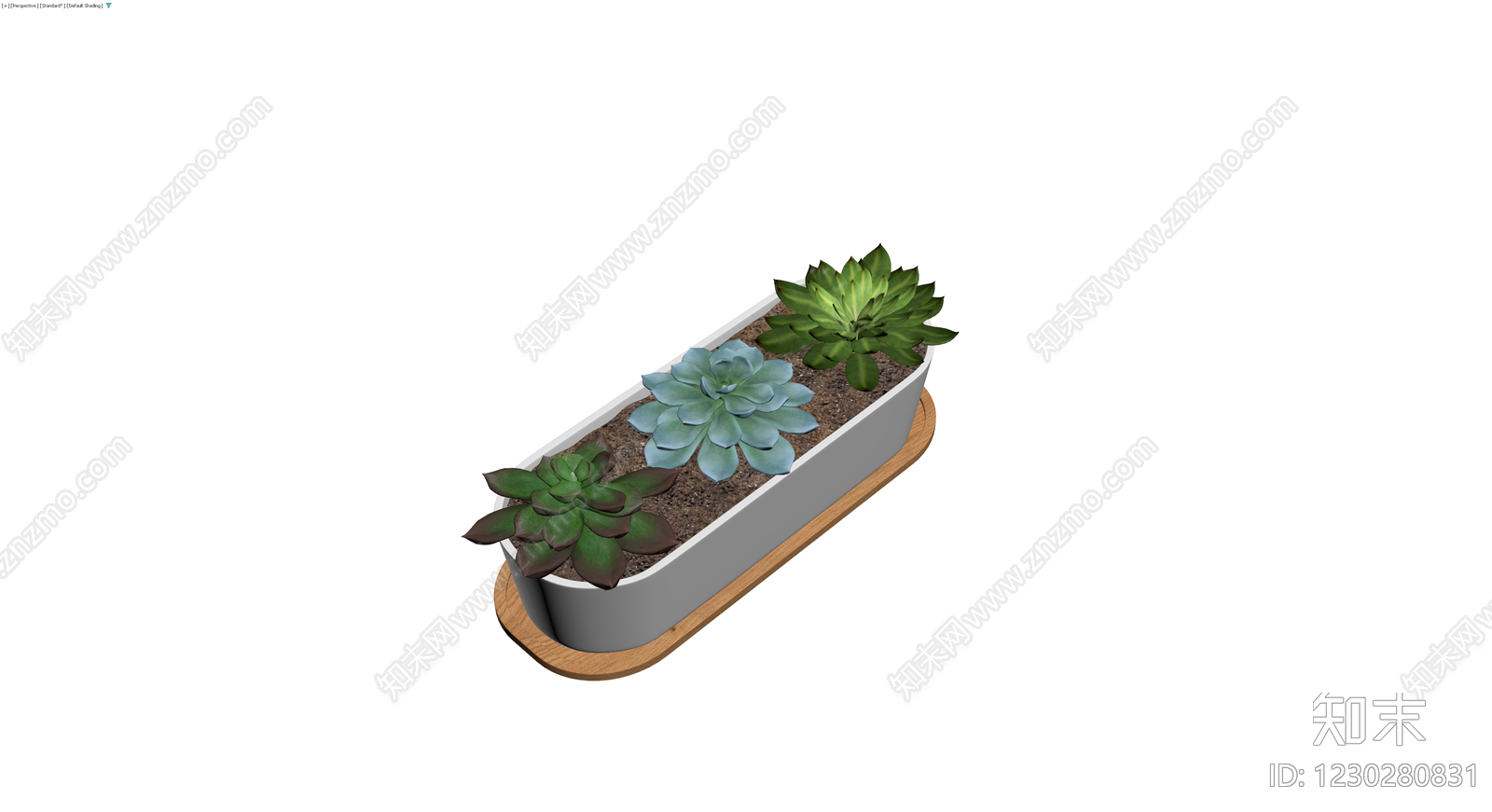 多肉盆栽组合3D模型下载【ID:1230280831】